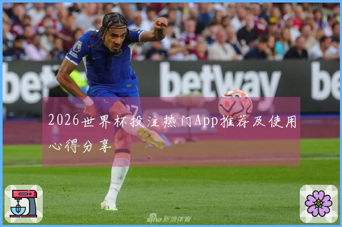 2026世界杯投注热门App推荐及使用心得分享