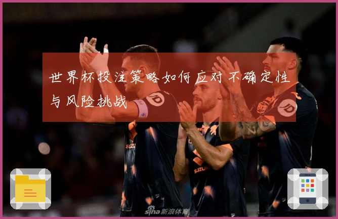世界杯投注策略如何应对不确定性与风险挑战