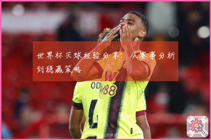 世界杯买球经验分享：从赛事分析到稳赢策略