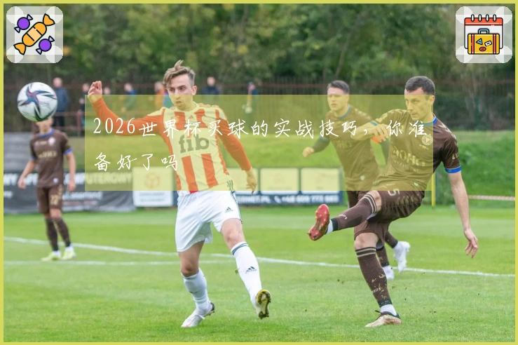 2026世界杯买球的实战技巧，你准备好了吗