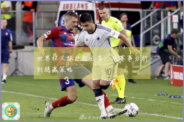世界杯买球经验分享：从赛事分析到稳赢策略