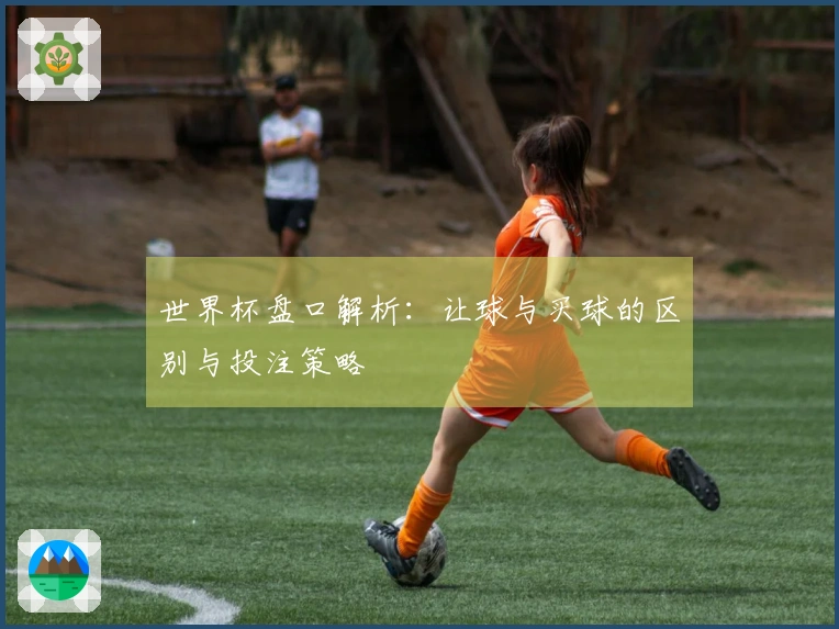 世界杯盘口解析：让球与买球的区别与投注策略